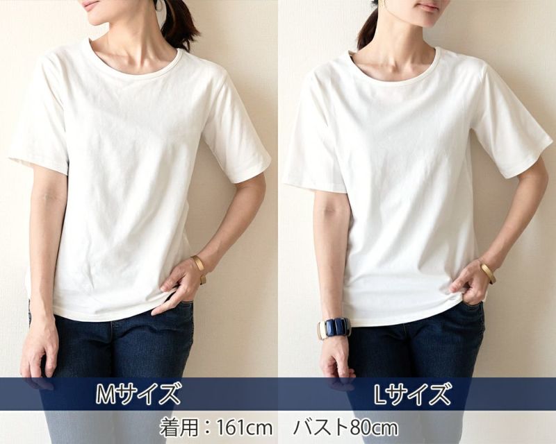 レディース半袖Tシャツサイズ比較
